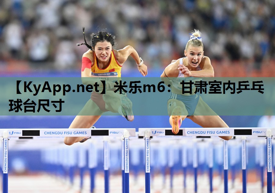 甘肃室内乒乓球台尺寸 甘肃室内乒乓球台尺寸