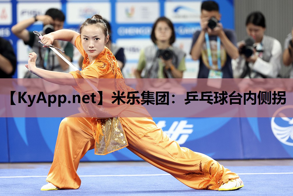 乒乓球台内侧拐 乒乓球台内侧拐