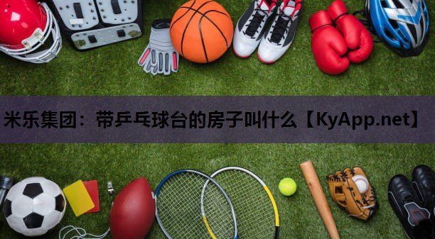 带乒乓球台的房子叫什么 带乒乓球台的房子叫什么
