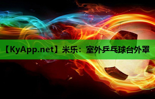室外乒乓球台外罩 室外乒乓球台外罩