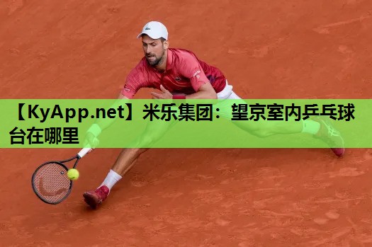 望京室内乒乓球台在哪里 望京室内乒乓球台在哪里