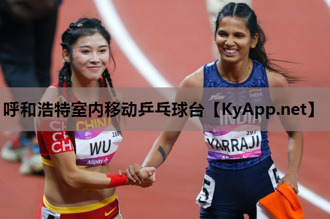 呼和浩特室内移动乒乓球台 呼和浩特室内移动乒乓球台