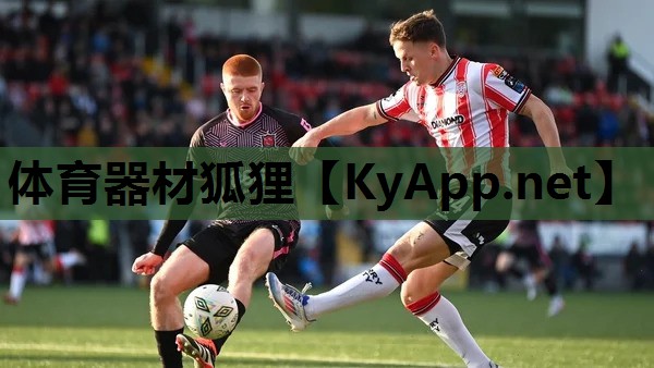 体育器材狐狸 体育器材狐狸