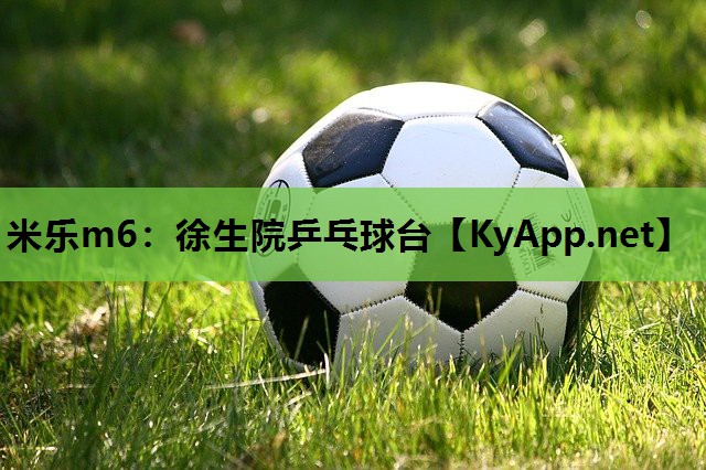 徐生院乒乓球台 徐生院乒乓球台