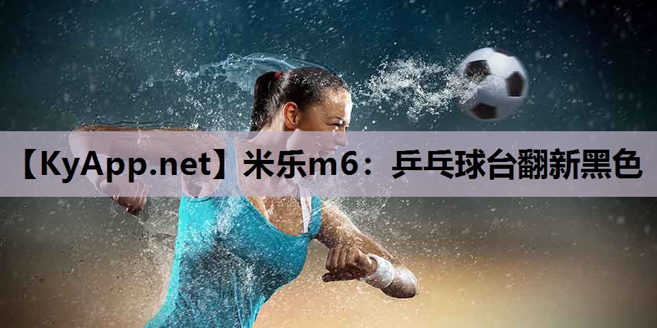 乒乓球台翻新黑色