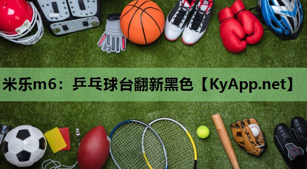 乒乓球台翻新黑色