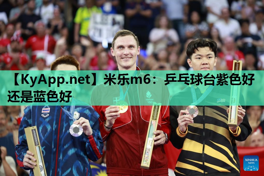 乒乓球台紫色好还是蓝色好 乒乓球台紫色好还是蓝色好