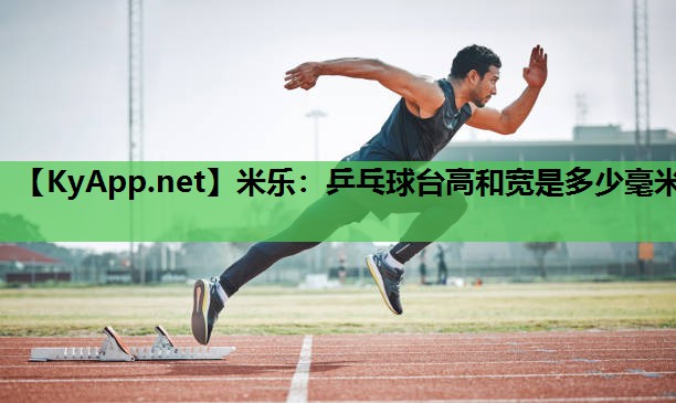 乒乓球台高和宽是多少毫米