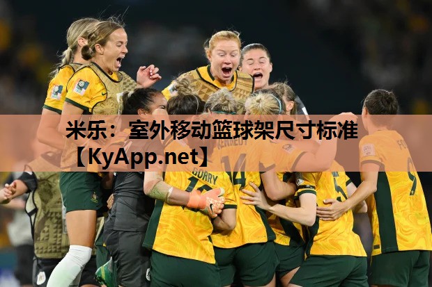 室外移动篮球架尺寸标准