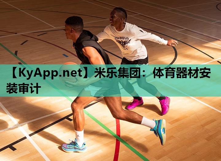 体育器材安装审计
