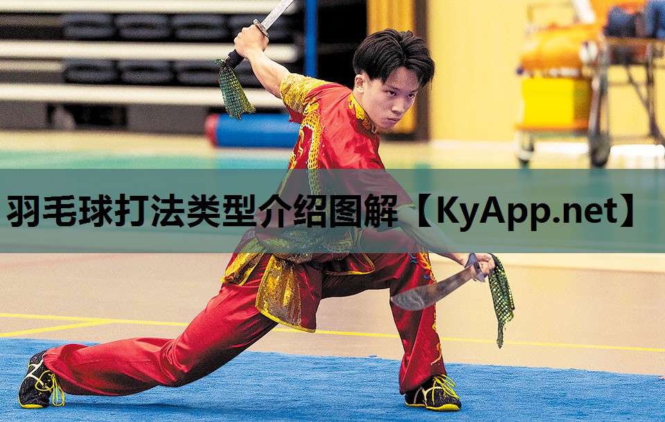 羽毛球打法类型介绍图解 羽毛球打法类型介绍图解