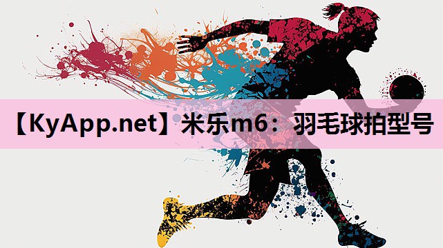 羽毛球拍型号 羽毛球拍型号